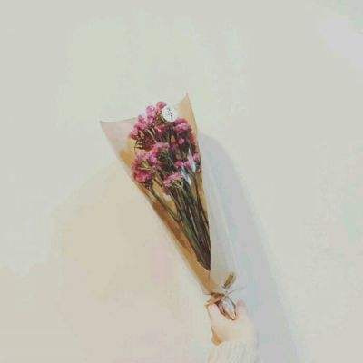 隐形暗影手机版下载